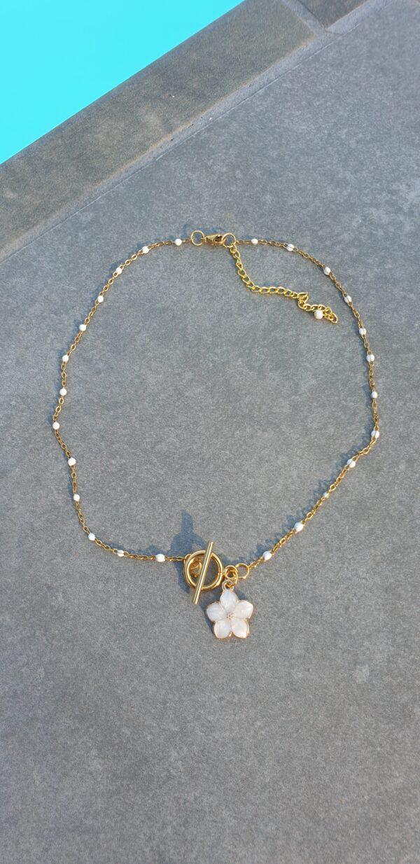Collier NACRE